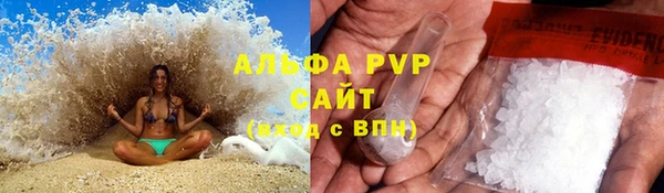 гидра Алексеевка