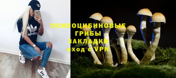 прущие грибы Алзамай