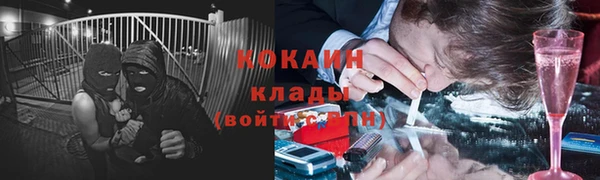 прущие грибы Алзамай