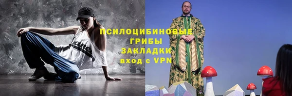 гидра Алексеевка