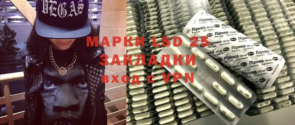 прущие грибы Алзамай