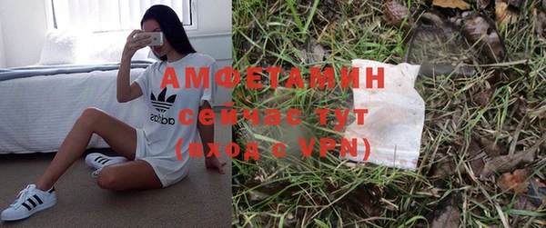 гидра Алексеевка