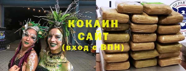 гидра Алексеевка