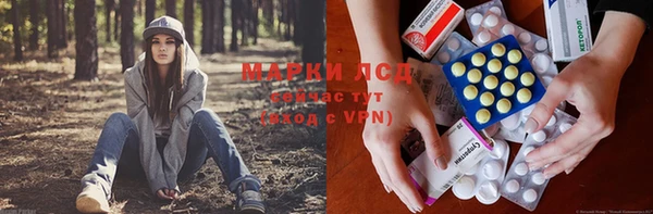 гидра Алексеевка